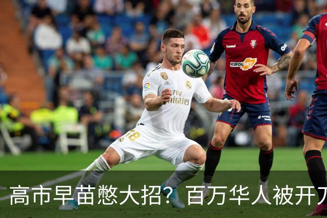 高市早苗憋大招？百万华人被开刀，中方丝毫不慌：半月前就布好局
